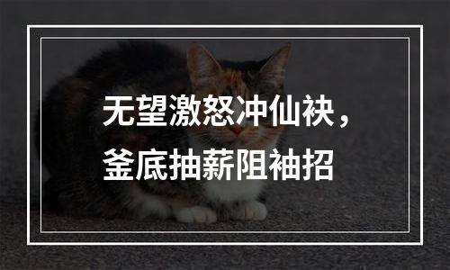 无望激怒冲仙袂，釜底抽薪阻袖招