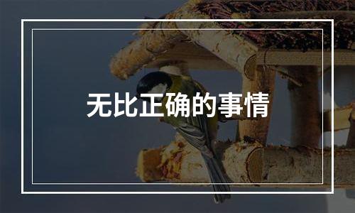 无比正确的事情