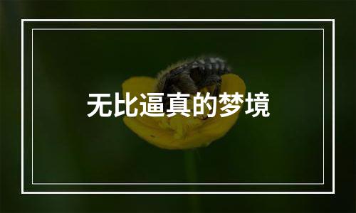 无比逼真的梦境