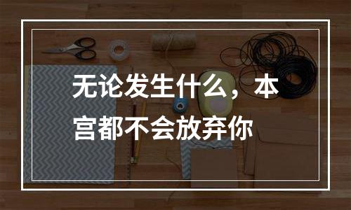 无论发生什么，本宫都不会放弃你