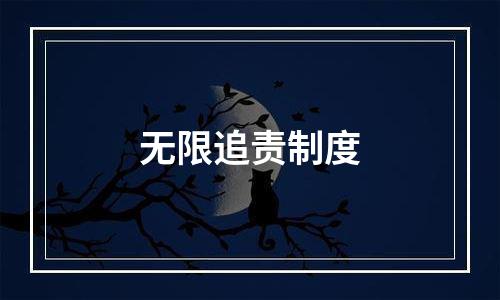 无限追责制度