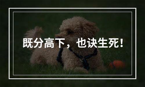 既分高下，也诀生死！