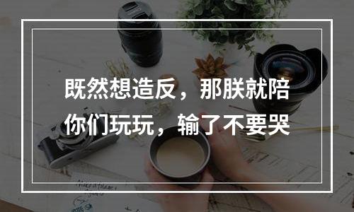 既然想造反，那朕就陪你们玩玩，输了不要哭