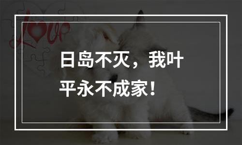 日岛不灭，我叶平永不成家！