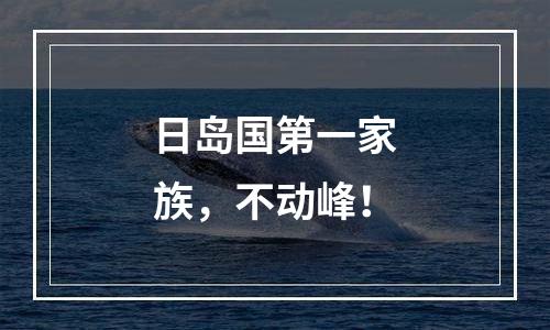 日岛国第一家族，不动峰！