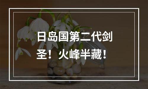 日岛国第二代剑圣！火峰半藏！
