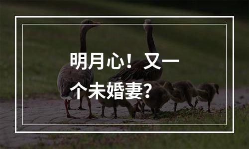 明月心！又一个未婚妻？
