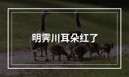 明霁川耳朵红了