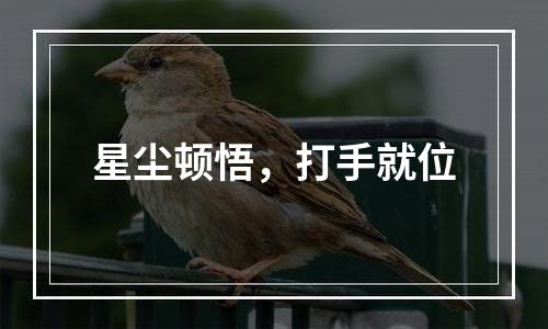 星尘顿悟，打手就位