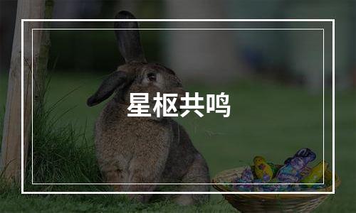 星枢共鸣
