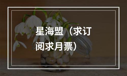 星海盟（求订阅求月票）
