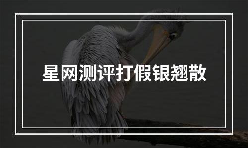 星网测评打假银翘散