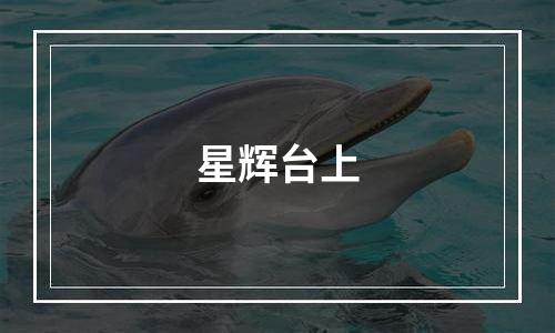 星辉台上