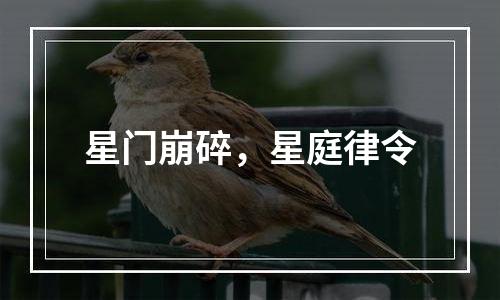 星门崩碎，星庭律令