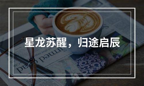 星龙苏醒，归途启辰