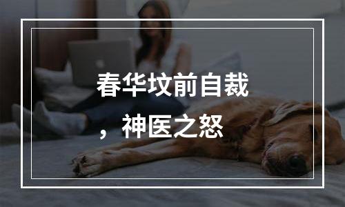 春华坟前自裁，神医之怒