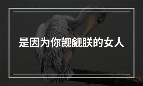 是因为你觊觎朕的女人