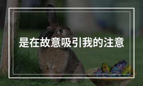 是在故意吸引我的注意