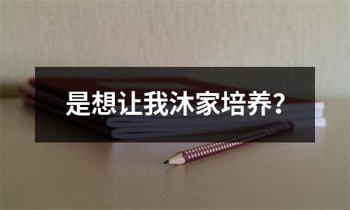是想让我沐家培养？