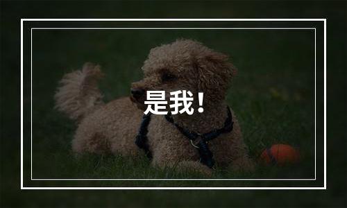 是我！