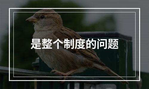 是整个制度的问题