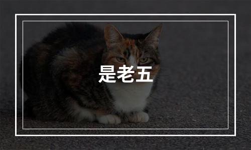 是老五
