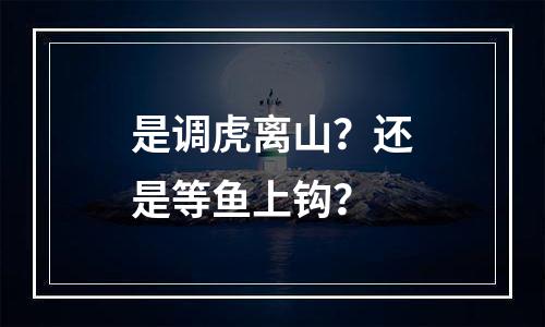 是调虎离山？还是等鱼上钩？