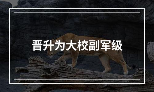 晋升为大校副军级