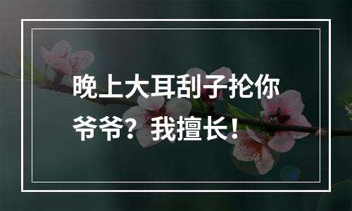 晚上大耳刮子抡你爷爷？我擅长！