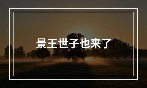 景王世子也来了