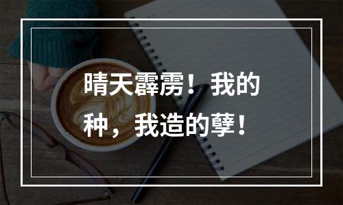晴天霹雳！我的种，我造的孽！