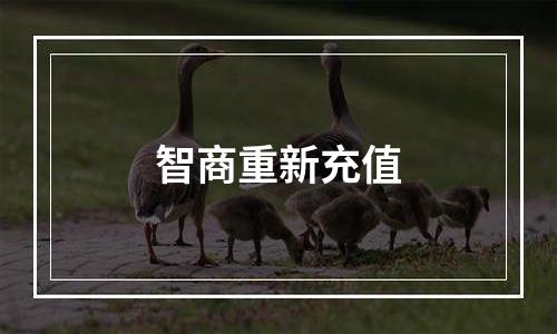 智商重新充值