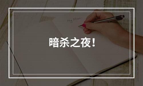 暗杀之夜！