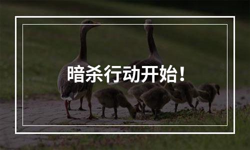暗杀行动开始！