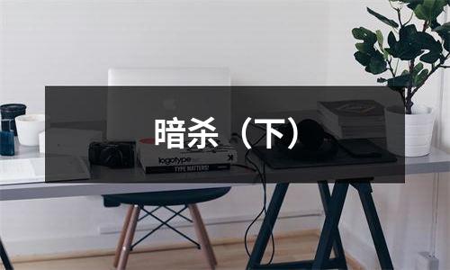 暗杀（下）