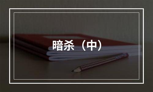 暗杀（中）