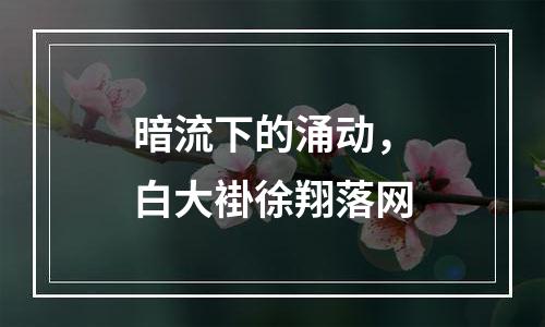 暗流下的涌动，白大褂徐翔落网