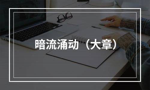 暗流涌动（大章）