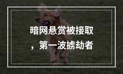 暗网悬赏被接取，第一波掳劫者