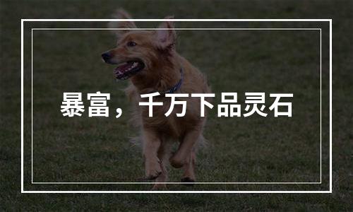 暴富，千万下品灵石