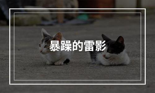 暴躁的雷影