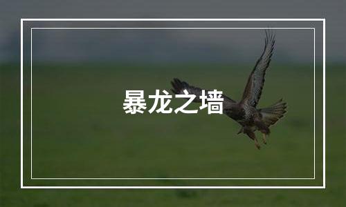 暴龙之墙