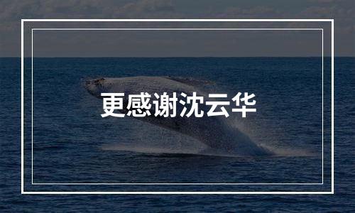 更感谢沈云华