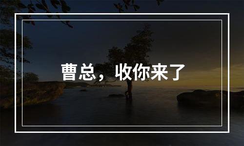 曹总，收你来了