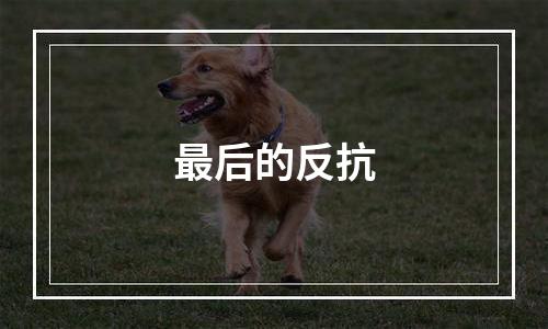 最后的反抗