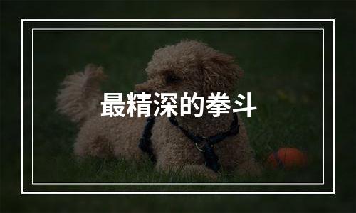 最精深的拳斗