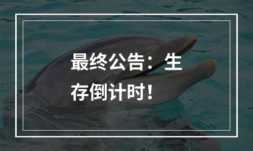 最终公告：生存倒计时！