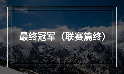 最终冠军（联赛篇终）