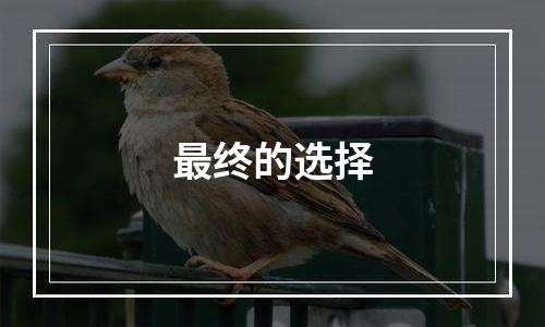 最终的选择