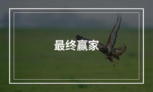 最终赢家